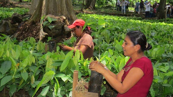Los Ríos en el cantón Vinces-Ecuador