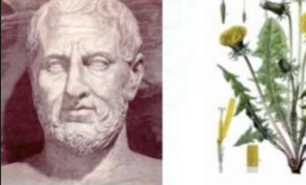 HISTORIA DE LA FITOPATOLOGIA