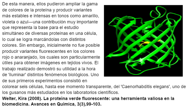 Martin Chalfie, Osamu Shimomura y Roger Tsien.