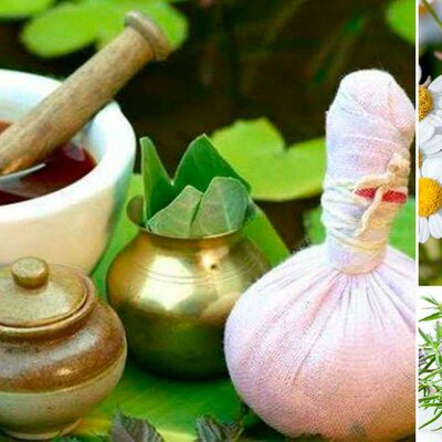 Timeline: Historia de la Botánica sus aspectos fundamentales y relevantes