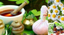 Timeline: Historia de la Botánica sus aspectos fundamentales y relevantes