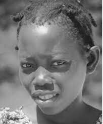 Comités Departamentales de Etnoeducación.