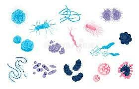 Otras nociones de causas