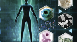 Timeline: Biomateriales. Línea del tiempo