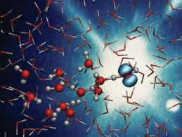 EFECTOS BIOLOGICOS DE LA RADIACION