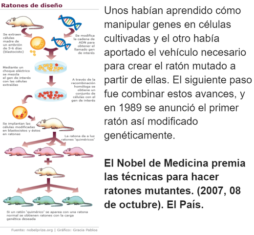 Mario Capecchi, Oliver Smithies y Martin Evans.