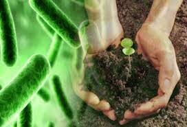 Otras naciones de causa