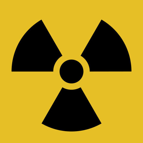 EFECTOS BIOLOGICOS POR LA RADIACION