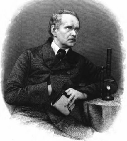 Matthias Jakob Schleiden (1804 - 1881)