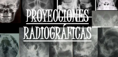 Comité de protección radiológica