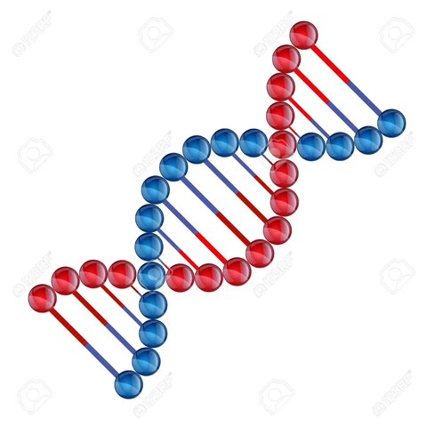 Bioinformática como ciencia de la naturaleza