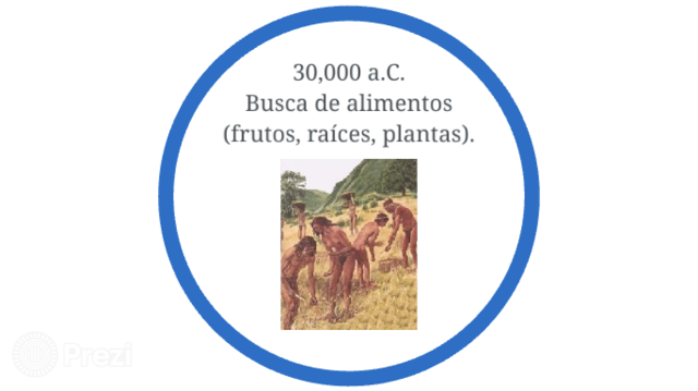 Búsqueda de alimentos