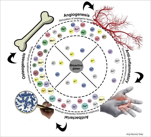 Descubrimiento de vidrio bioactivo