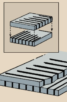 Efectos biológicos de la radiación