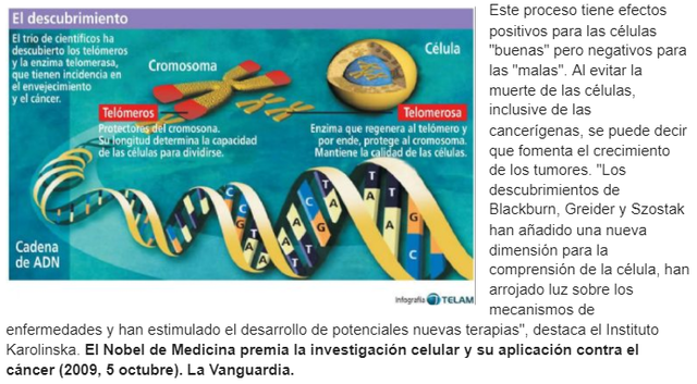 Elizabeth H. Blackburn, Carol Greider y Jack W. Szostak (cómo los cromosomas están protegidos por los telómeros y la enzima telomerasa.)