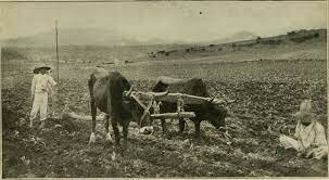 Agricultura