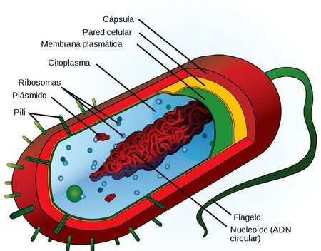 Hace 4000 millones de años