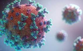El nou coronavirus es transmet entre persones