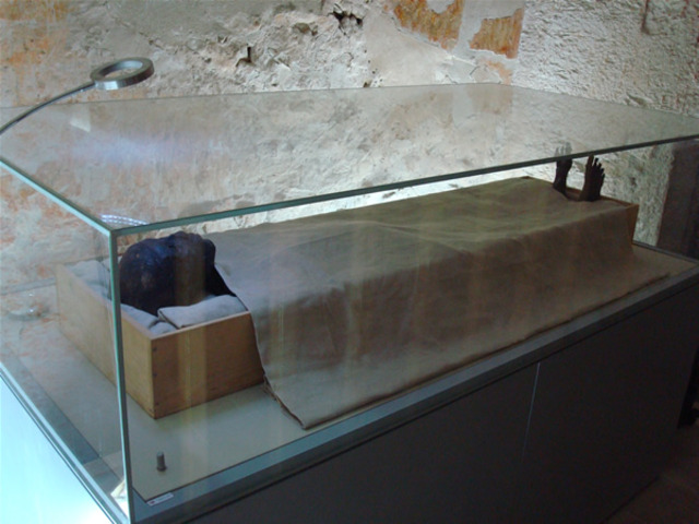 king tut and Royal family relocated