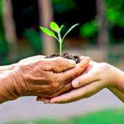 Timeline: Historia de la Ecología