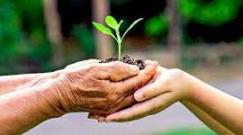 Timeline: Historia de la Ecología