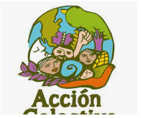acción colectiva