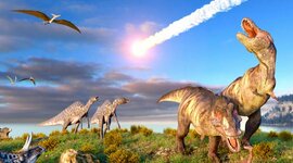 Timeline: Kalendar života