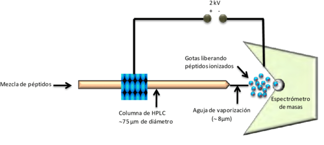John Bennett Fenn - Método de ionización por electrospray