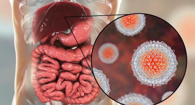 Michael Houghton, Harvey J. Alter, Charles M. Rice - Descubrimiento del virus Hepatitis C