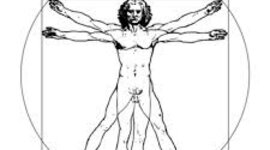 Timeline: Concepto de hombre