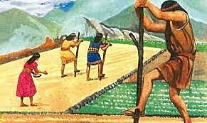 Año 3000  Origen de la economía solidaria