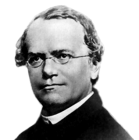 Mendel (1822-1884)