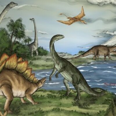 Timeline: Kalendar života