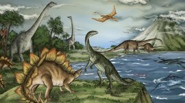 Timeline: Kalendar života