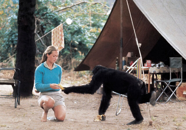 Kutatóközpont alapítása