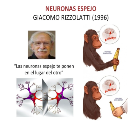 Las Neuronas Espejo 1996