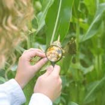 Timeline: “Historia de los conceptos de causa y  enfermedad: paralelismo entre la Medicina y la Fitopatología