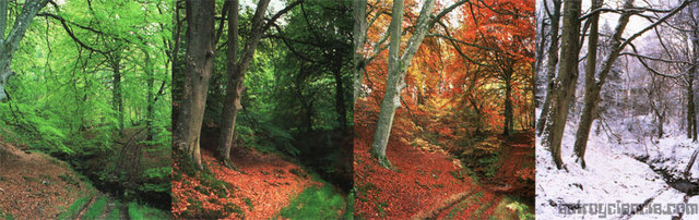 ¿qué es el determinismo ambiental?