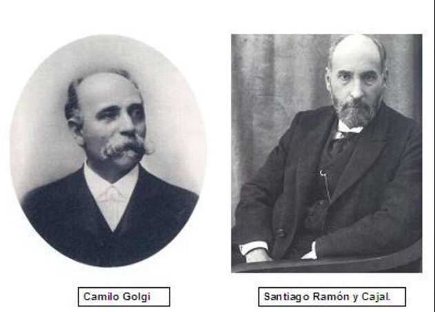 Doctrina Neuronal Camilo Golgi y Ramon y Cajal 1906