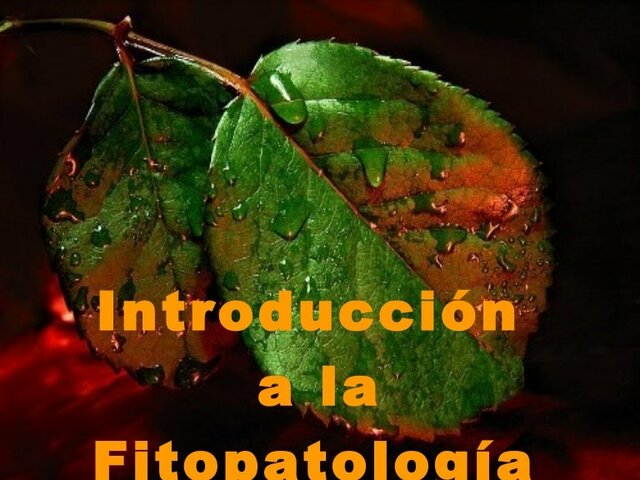 – Fase 1 Historia de la Fitopatología y generalidades de la microbiología