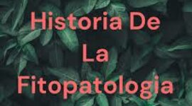 Timeline: “Historia de los conceptos de causa y enfermedad: paralelismo entre la Medicina y la Fitopatología”