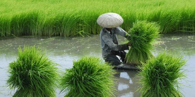 Modo Asiatico de Produccion