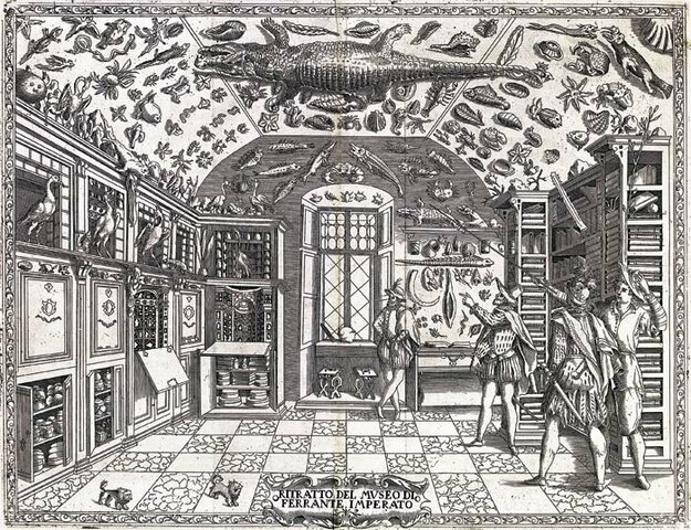 Conservatorio y gabinete de historia natural