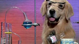 Timeline: Teorías Atómicas