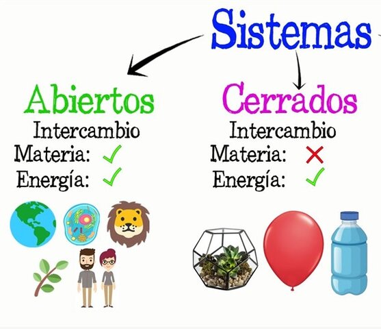 Ludwig Von Bertalanffy