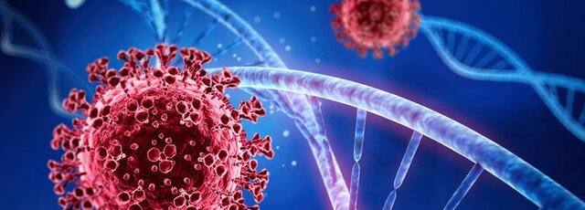 Recuperar el turisme