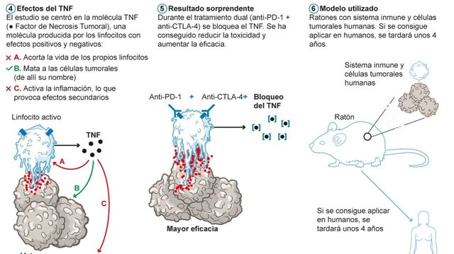 Bruce Beutler - Descubrimiento de la activación de la inmunidad innata