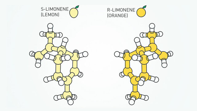 Benjamin List, David MacMillan - Desarrollo de la organocatálisis asimétrica