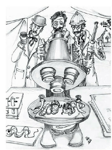 Hallazgos bacteriológicos