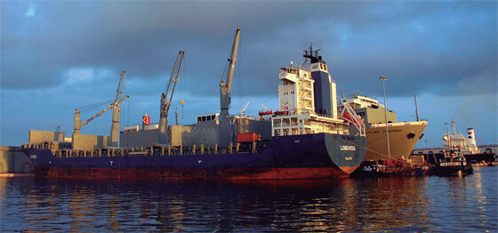 Fundamentos Políticos